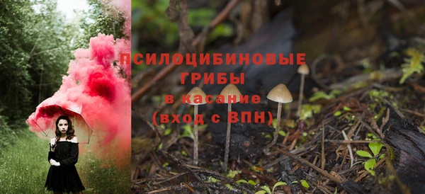 прущая мука Богородицк