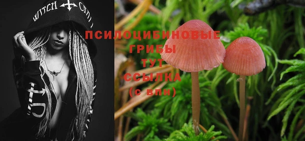 прущие крисы Верея