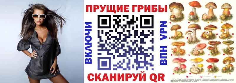 Псилоцибиновые грибы ЛСД  Дмитриев 